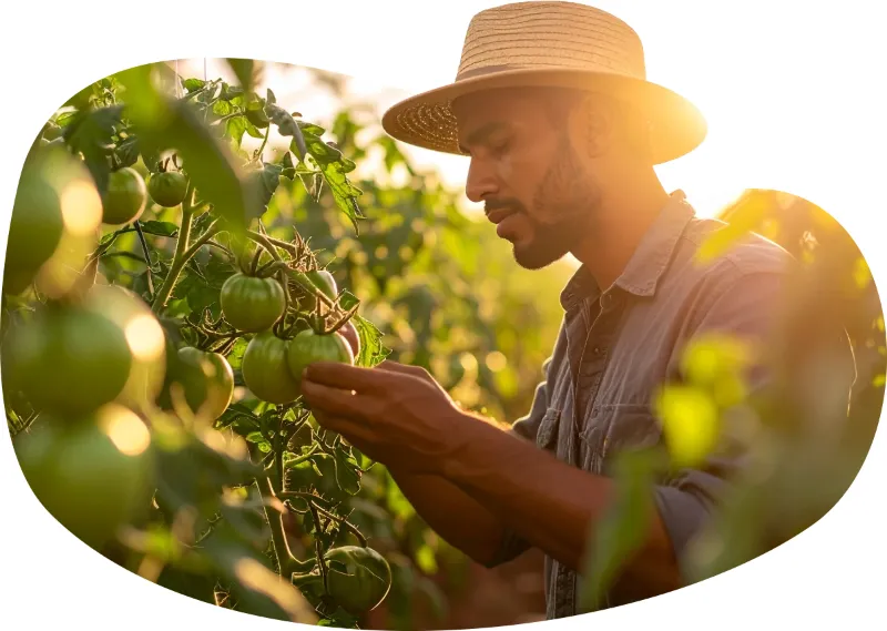 BioGennis - International Network, Local Solutions