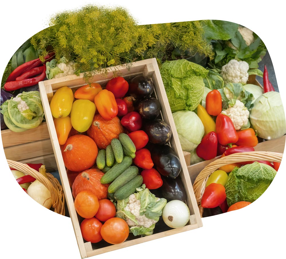 Sustainable and Regenerative Cultivation: Our Contribution to Agriculture in Harmony with Nature