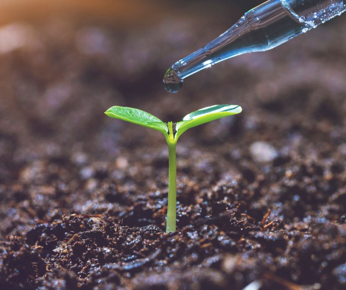 BioGennis: agricultura sostenible con alianzas en I+D internacional.