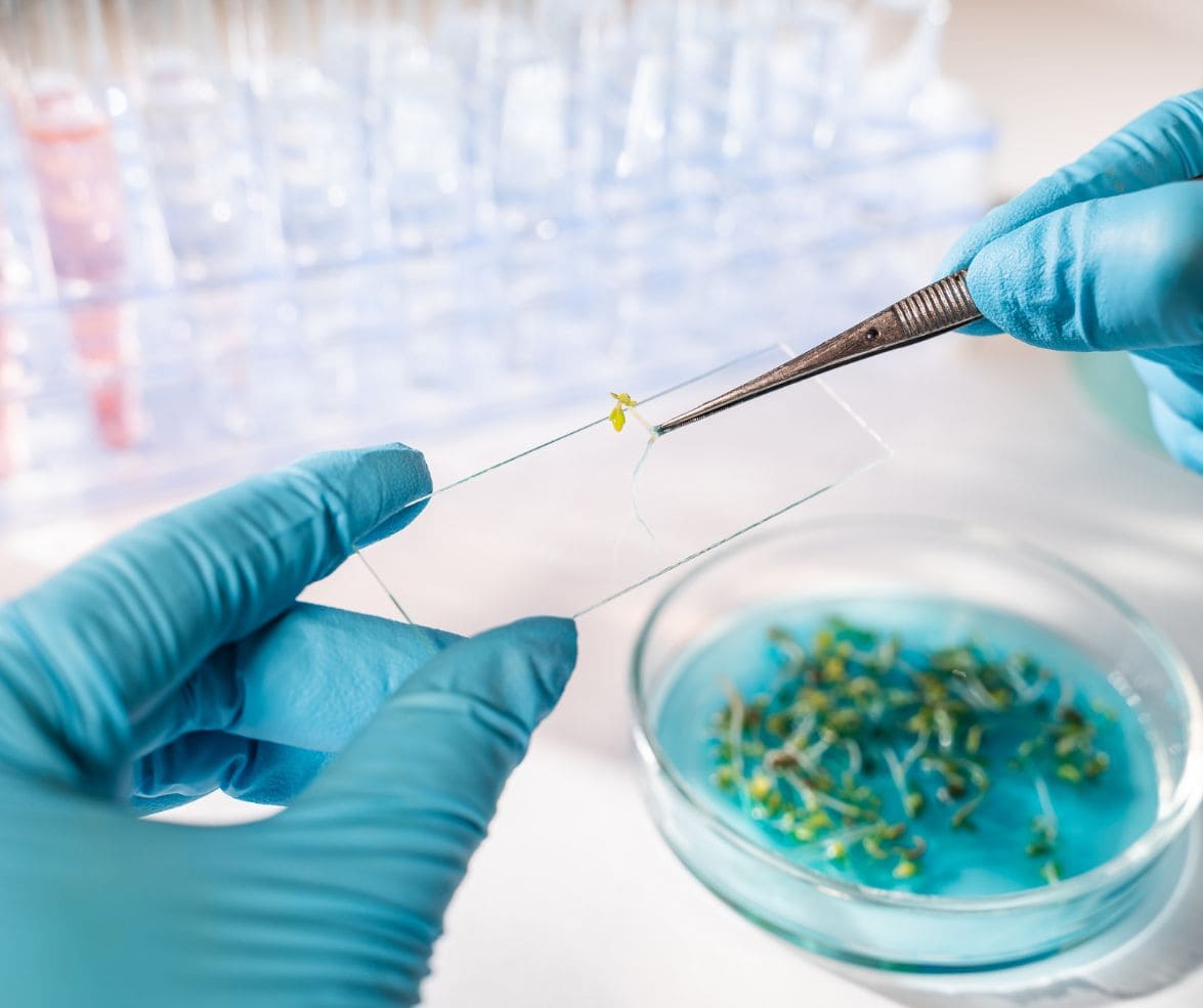 BioGennis: agricultura sostenible con alianzas en I+D internacional.