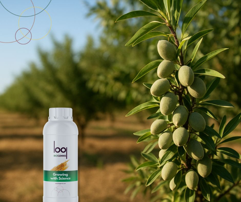 Biofertilizantes de nueva generación aplicados en un suelo fértil